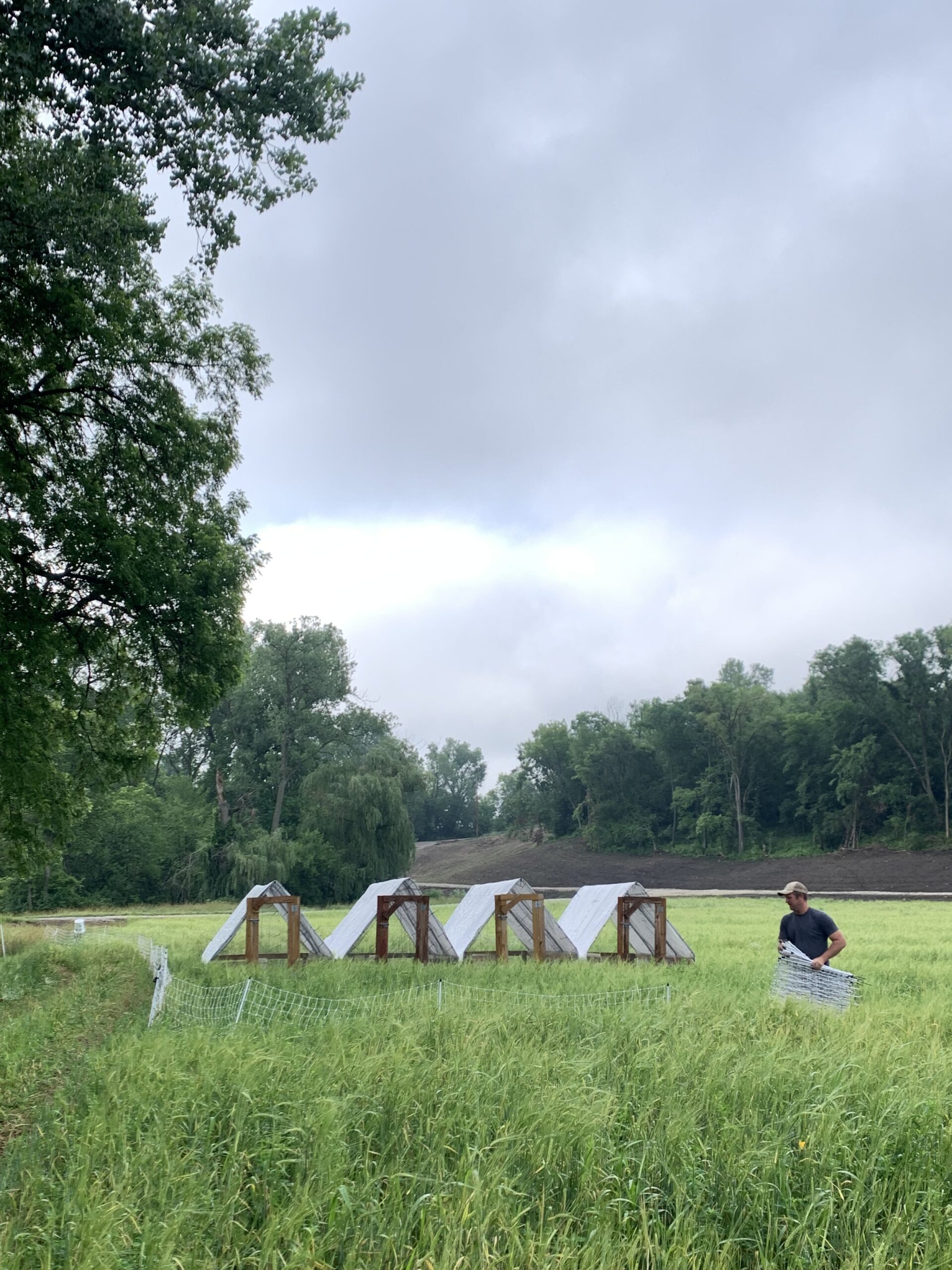 A farmer working in a lush green field, tending to portable chicken coops under a cloudy sky, surrounded by trees and a serene landscape.
